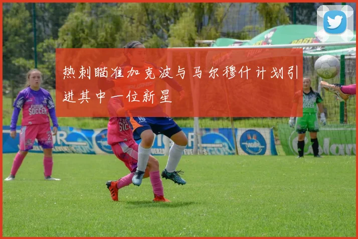 热刺瞄准加克波与马尔穆什计划引进其中一位新星